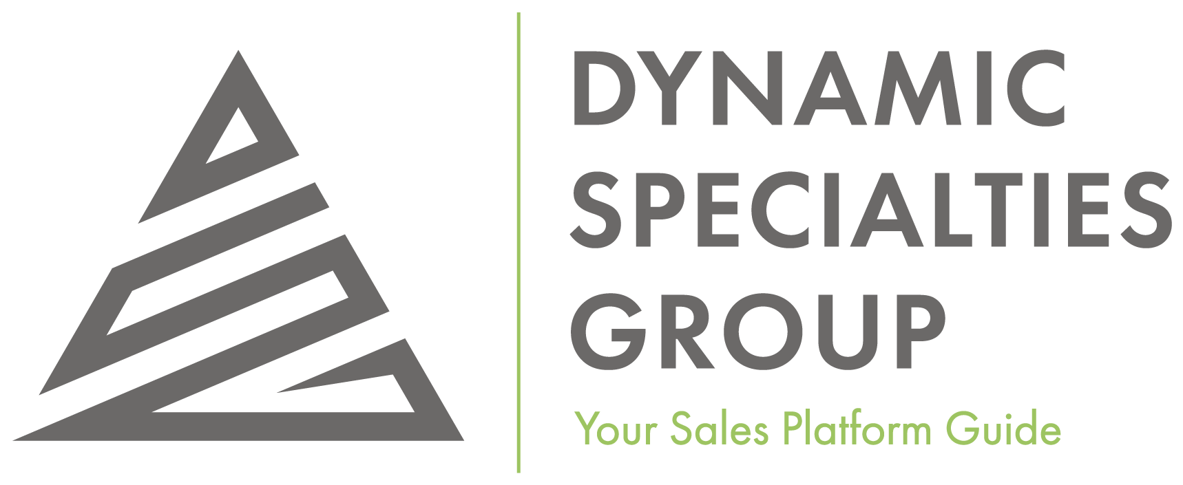 DSG Logo